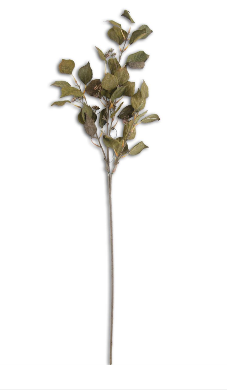 Dark Green Cork Textured Silver Dollar Eucalyptus Stem