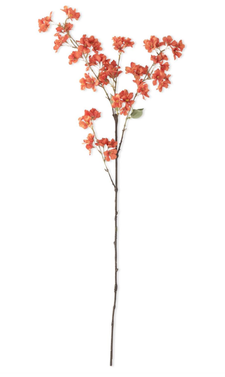 Orange Cherry Blossom