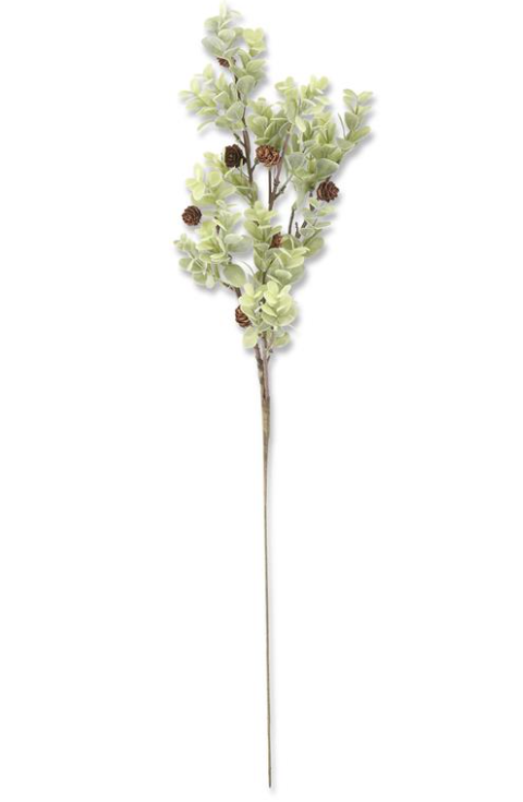 Powdered Eucalyptus Stem w/Mini Pinecones