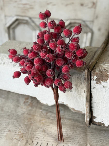Iced Everberry Bundle