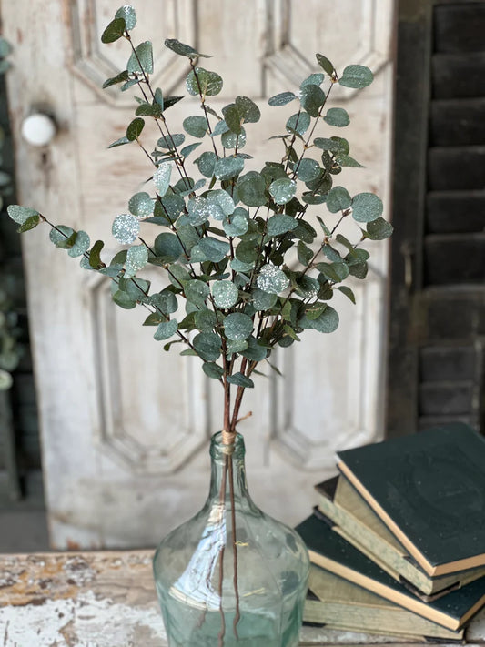 Crisp Air Eucalyptus Bundle