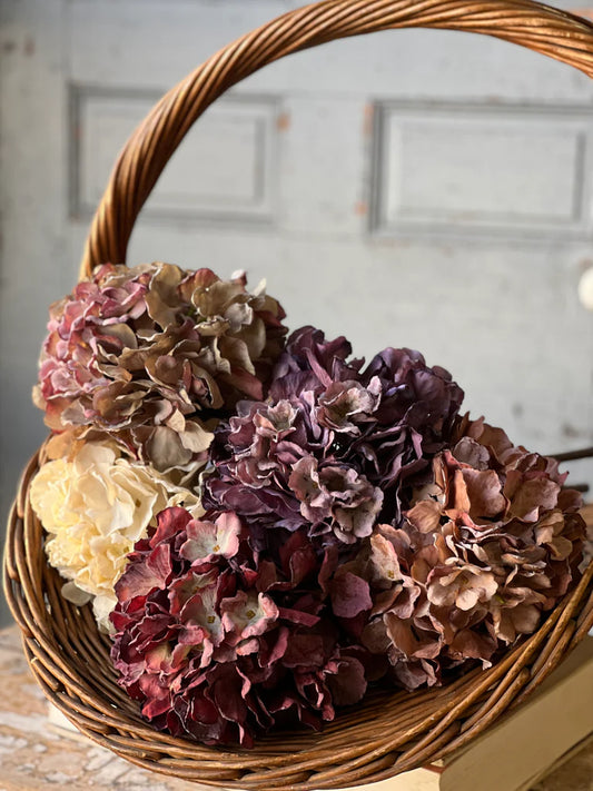 Empire Hydrangea