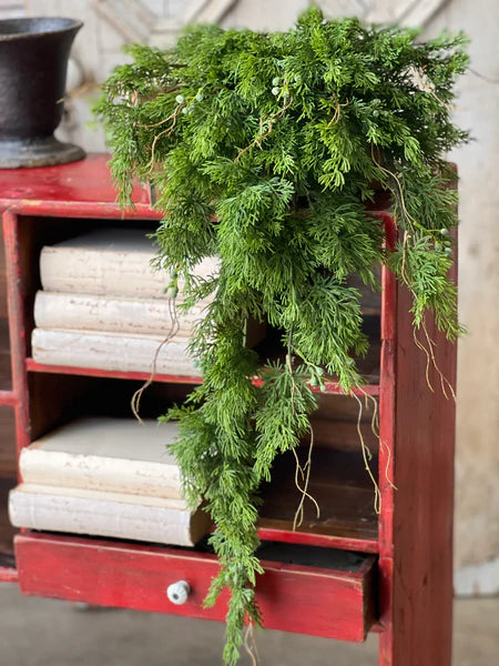 Dripping Hanging Cedar