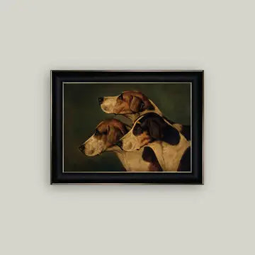 Three English Foxhounds
