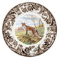 Spode Woodland