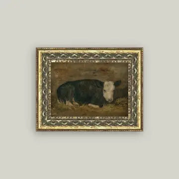 Lying Cow in Shed