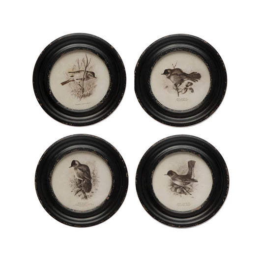 Framed Bird Print Wall Decor