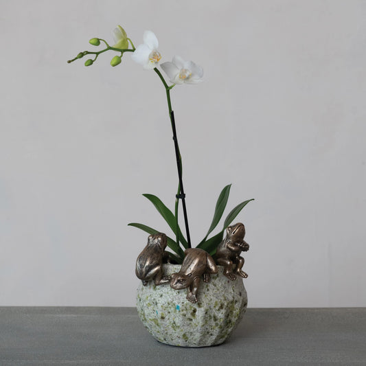 Frog Pot Hanger