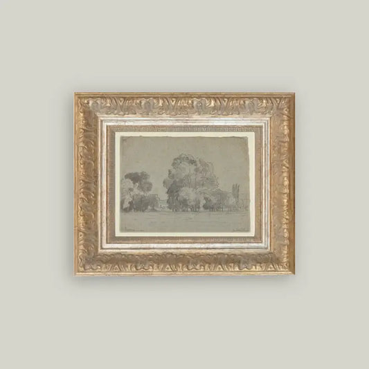 Grove of Trees Framed Print