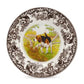 Spode Woodland