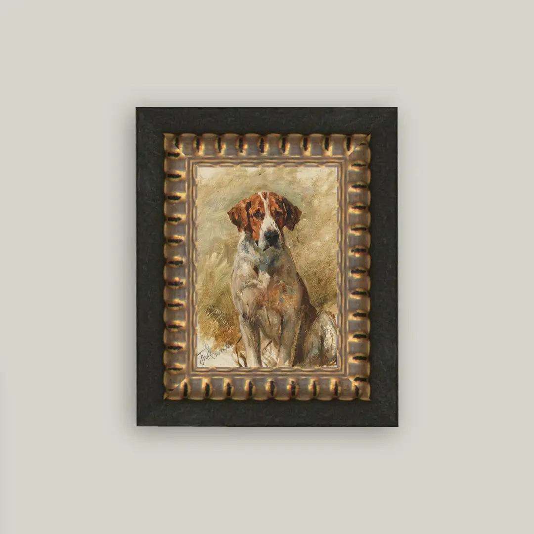 Study Of A Hound Framed Print