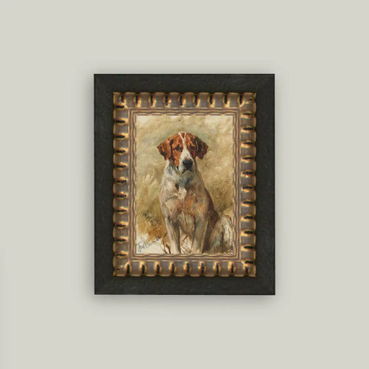 Study Of A Hound Framed Print