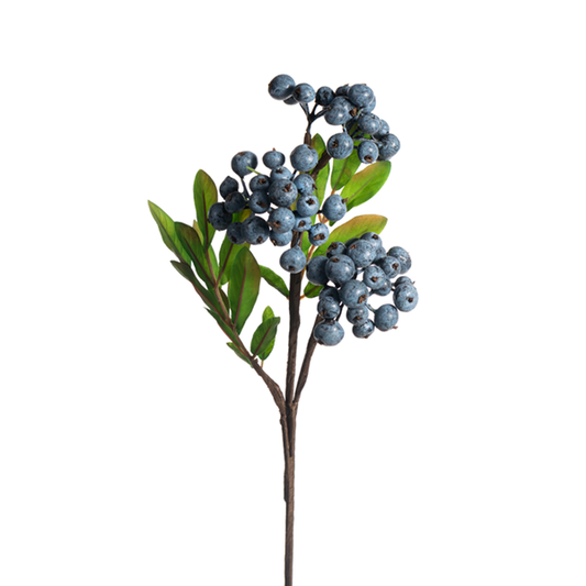 Blue Berry Pick