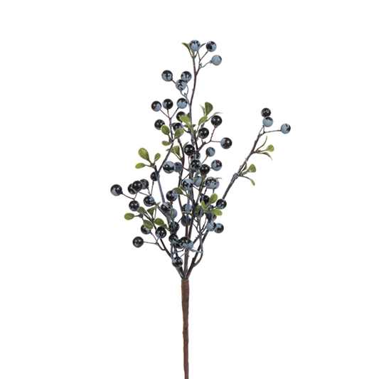 Blueberry Pick with Leaves