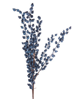 Blue Berry Bush