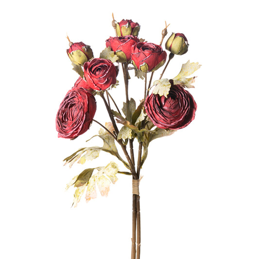 Red Dried Ranunculus Stem