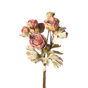 Rust Dried Ranunculus Stem