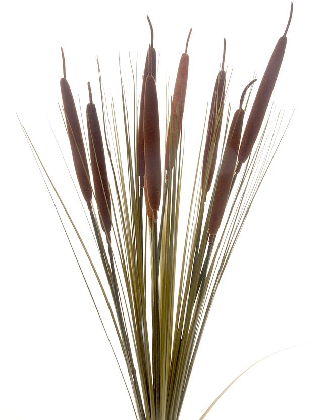 Rust Cattail