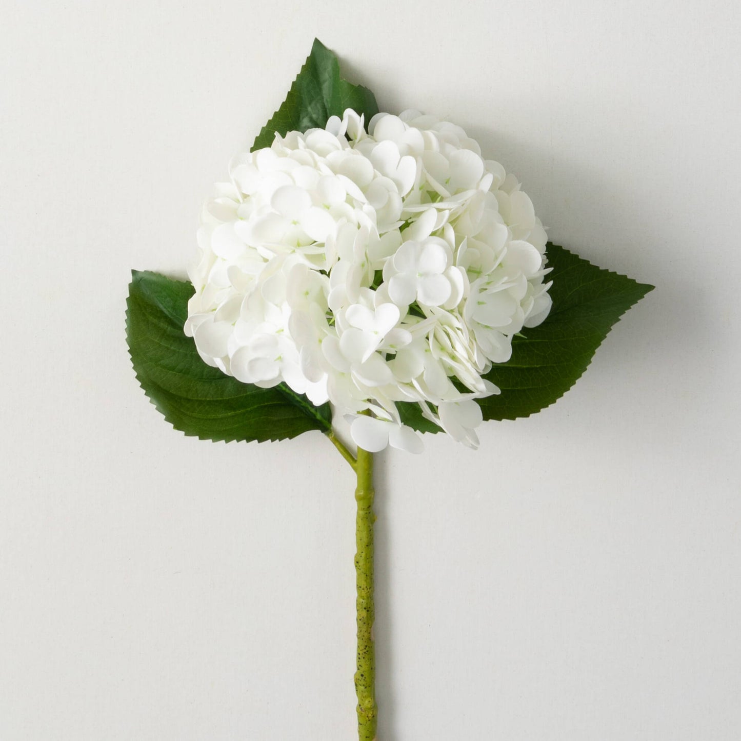 White Hydrangea Spray