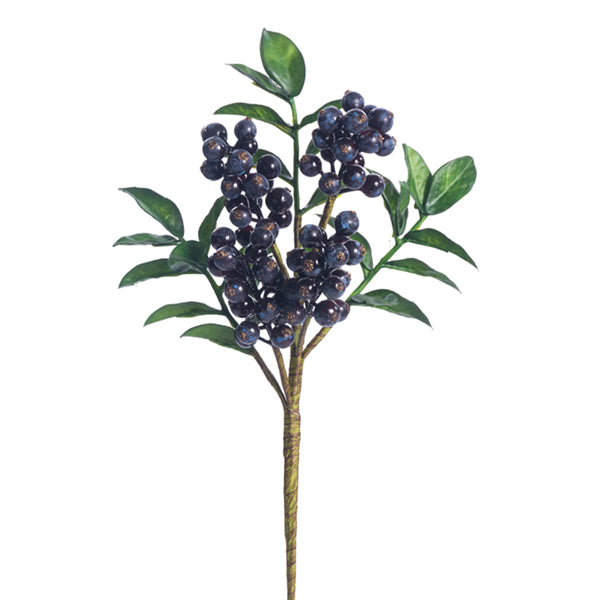 Dark Blue Berry Pick