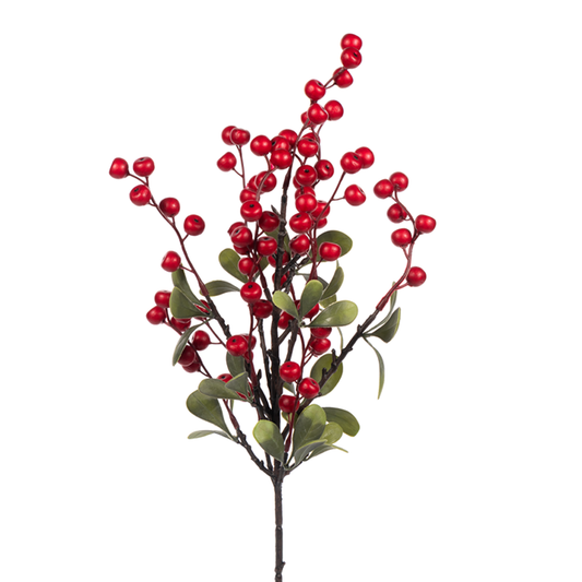 Small Red Berry Bush