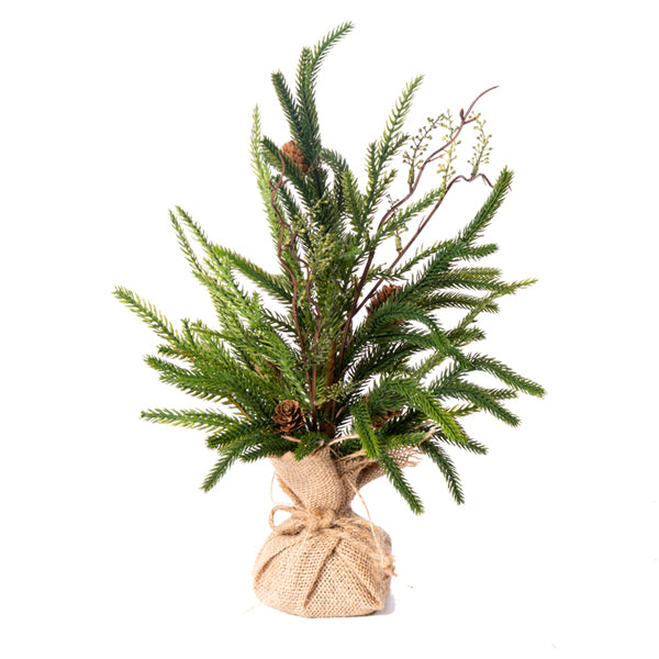 Mixed Austrian Pine Tree