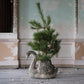 Swan Planter