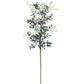 Blue Boxwood Spray