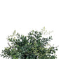 Blue Boxwood Orb