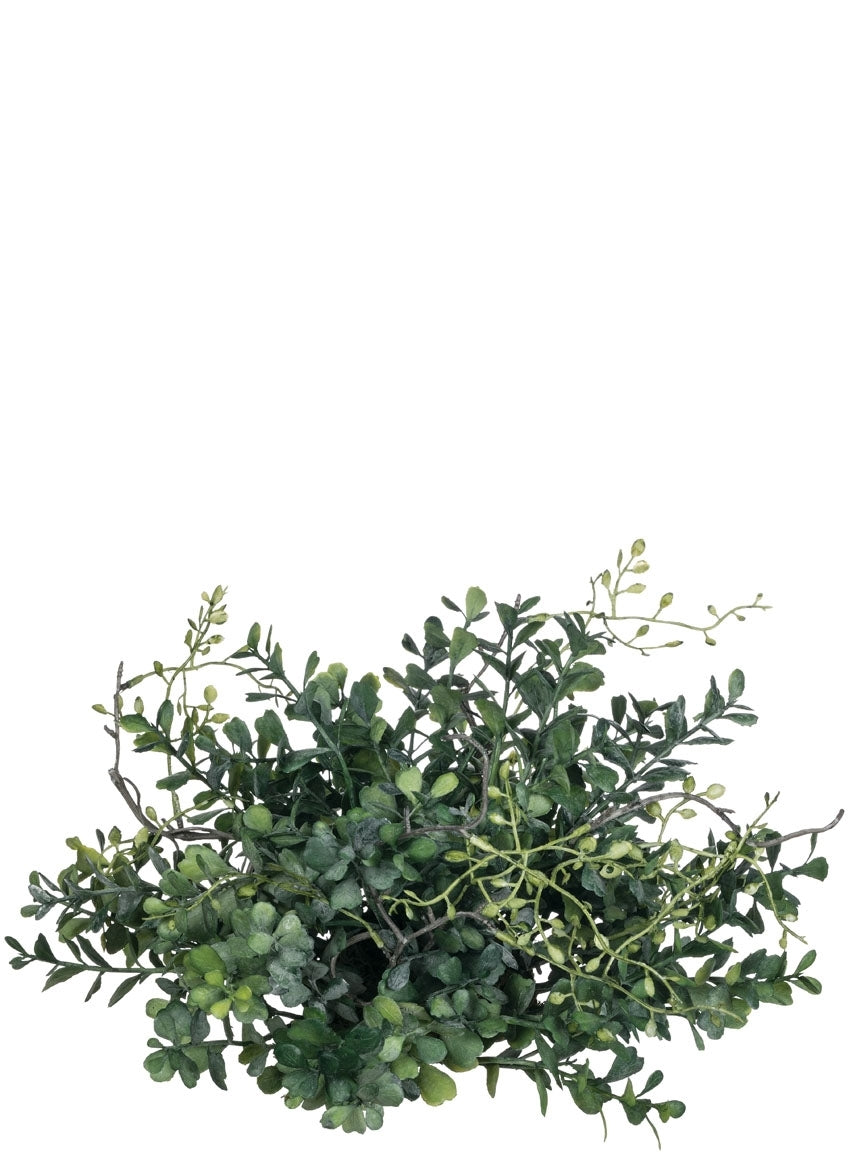 Blue Boxwood Orb