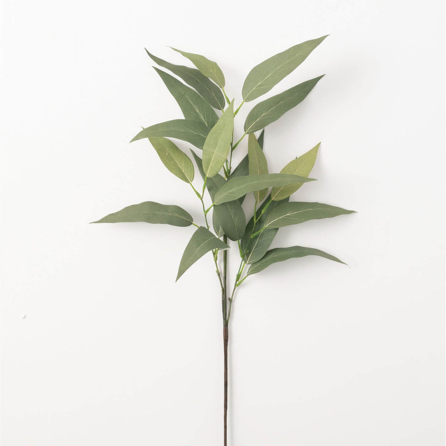 Eucalyptus Leaf Spray