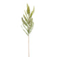 Fish Bone Fern Stem