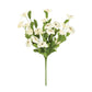 Cream Dianthus Spray
