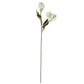 White Real Touch Magnolia