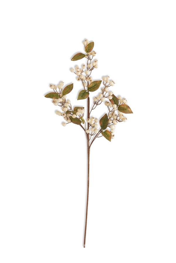 Cream Berry Spray