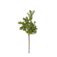 Real Touch Boxwood Pick