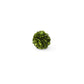 Preserved Boxwood Mini Ball
