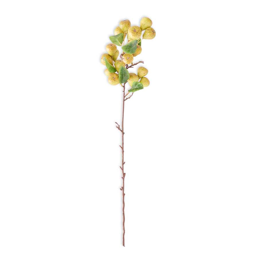 Pear Stem