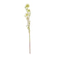 Mini Allium Stem