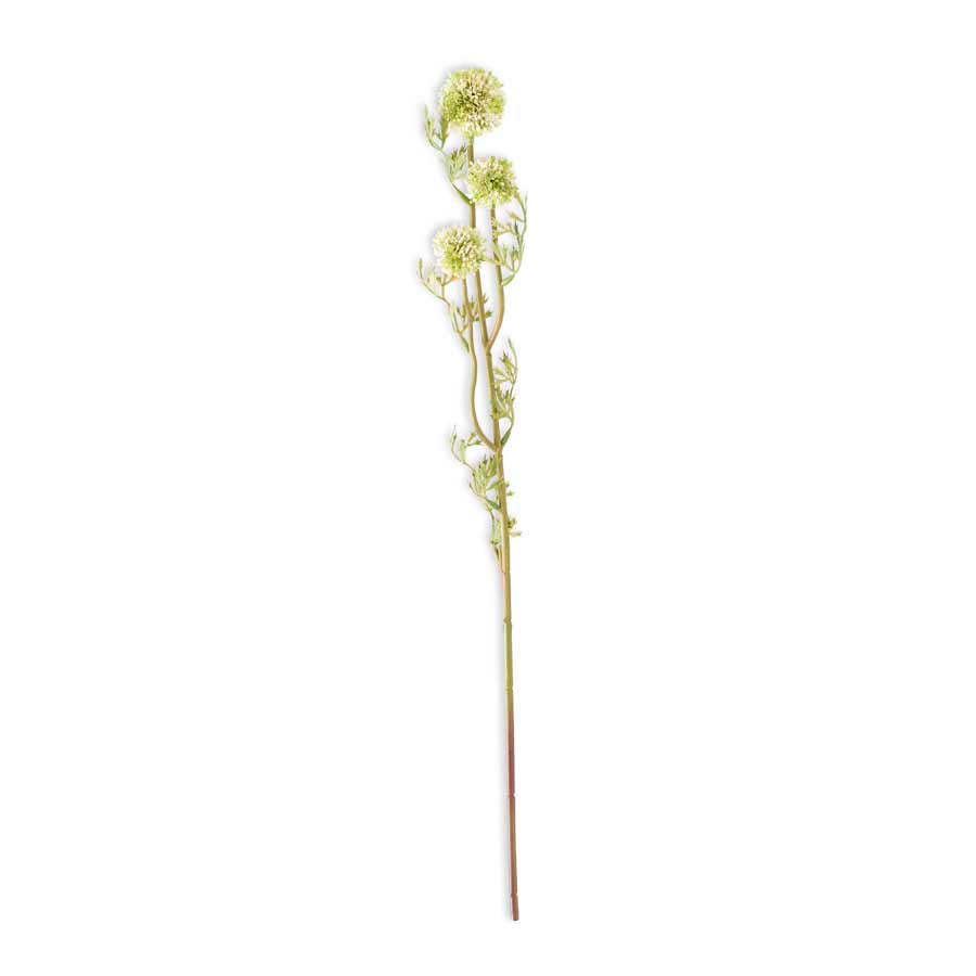 Mini Allium Stem