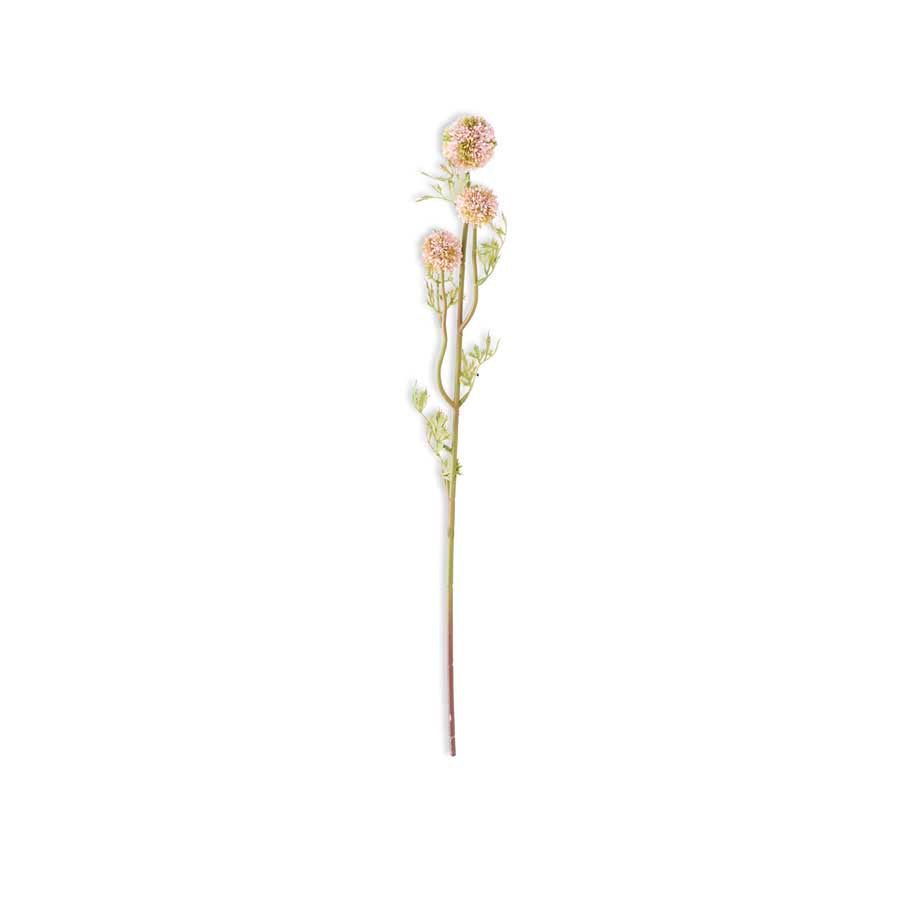 Mini Allium Stem