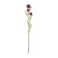 Mini Allium Stem