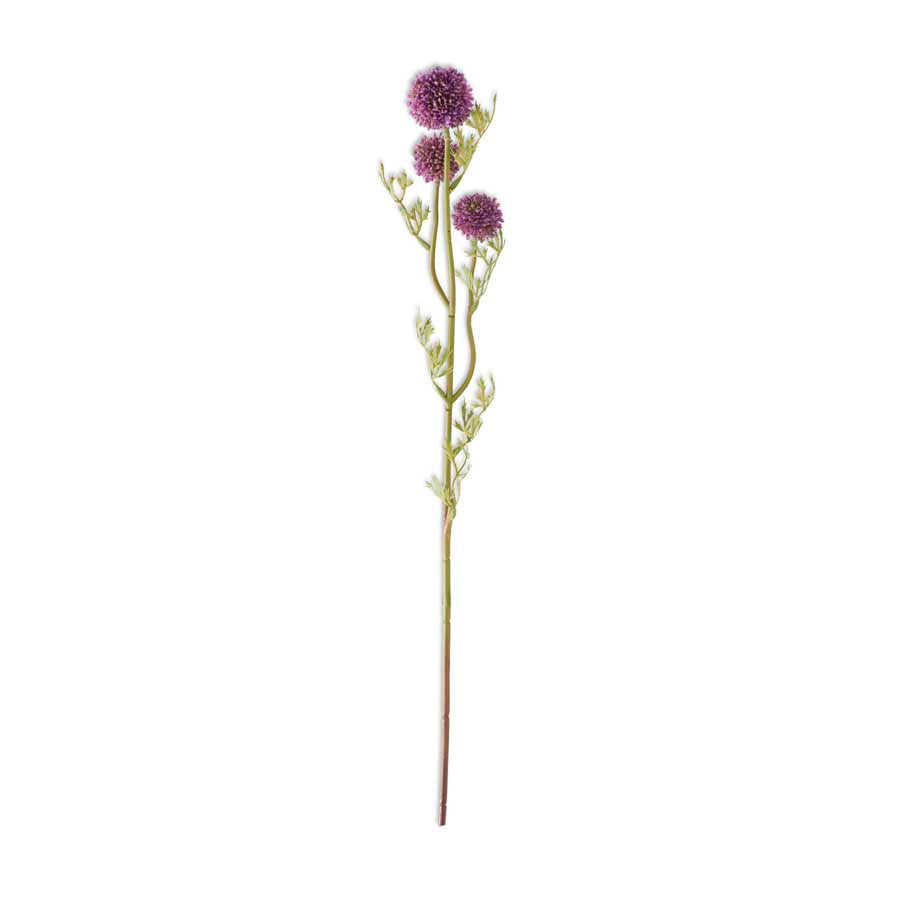 Mini Allium Stem