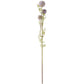 Mini Allium Stem