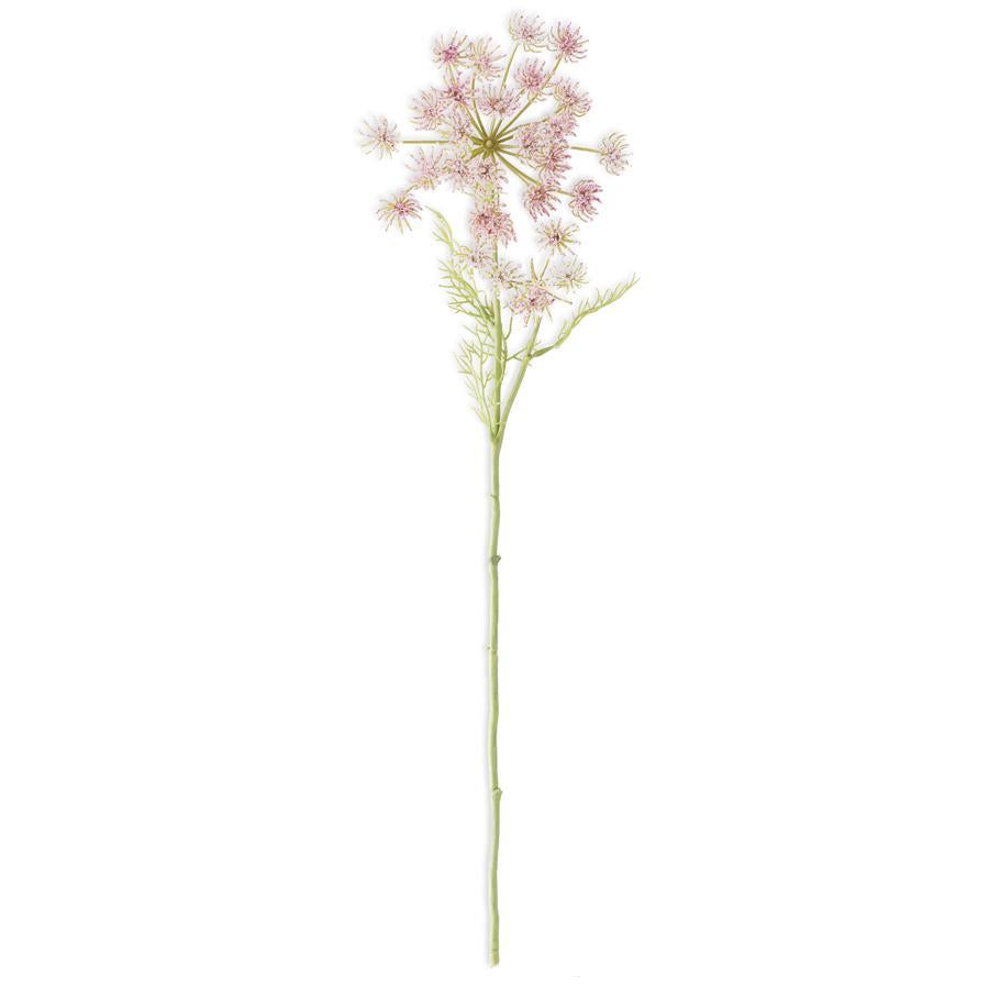 Wild Pink Queen Anne's Lace