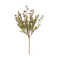 Cream Bud Bush