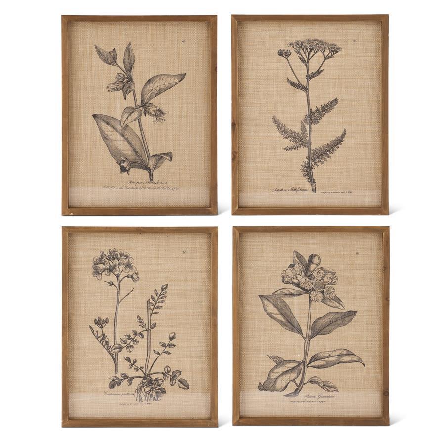 Natural Wood Framed Floral Prints
