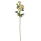 White Ranunculus Spray