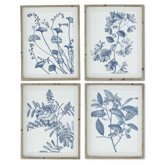 Blue & White Botanical Prints