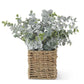 POWDERED EUCALYPTUS IN WOVEN BASKET